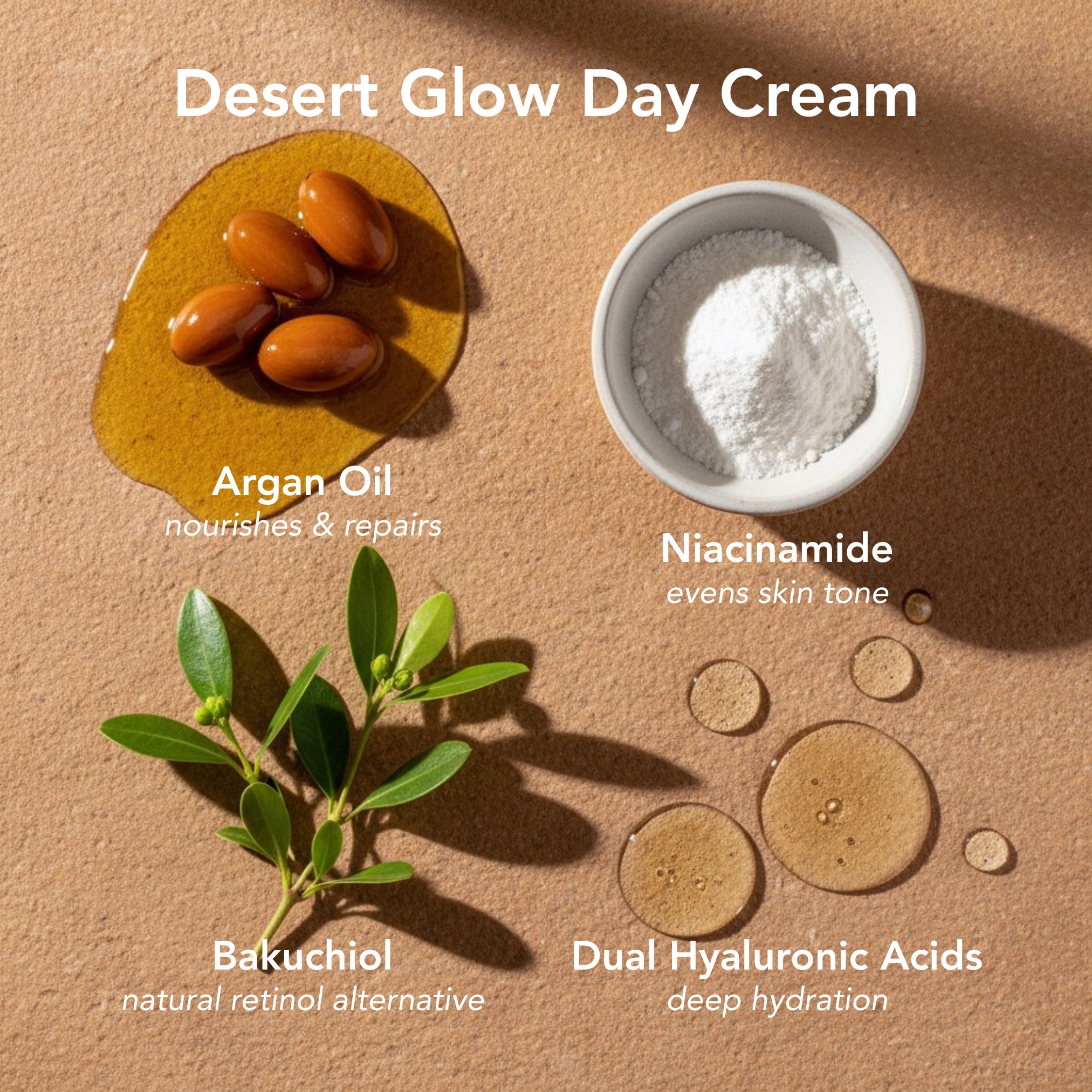 ZAYNA Desert Glow Day Cream ingredients featuring argan oil, niacinamide powder, bakuchiol leaves, and hyaluronic acid